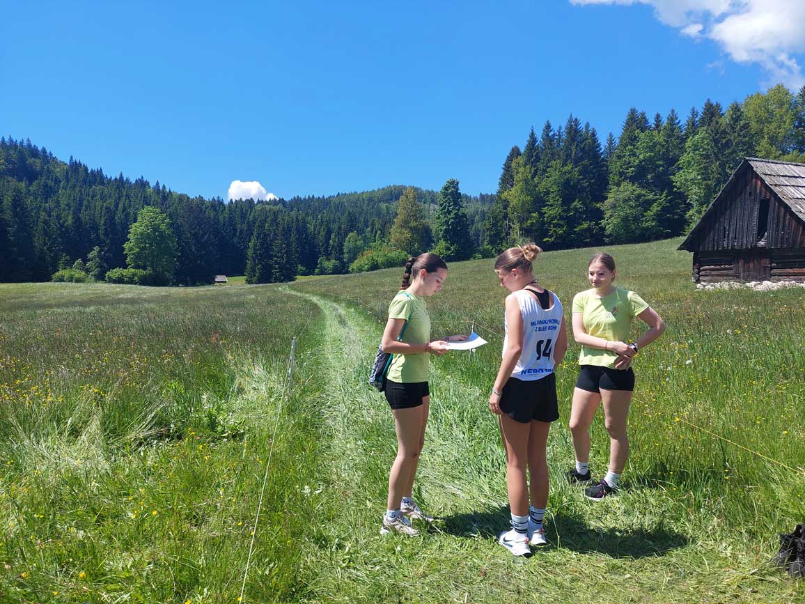 Regijska orientacija